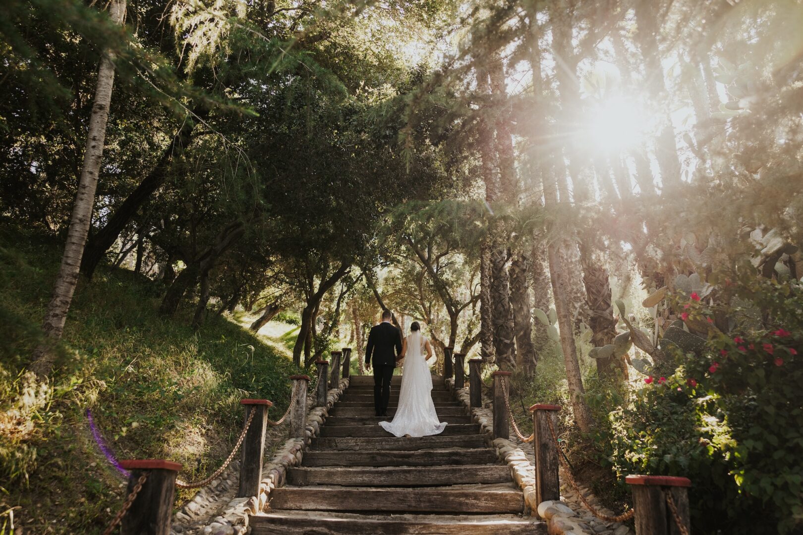 A bride and groom walk up wooden steps surrounded by tall trees and sunlight filtering through the leaves, creating a romantic, serene forest scene.