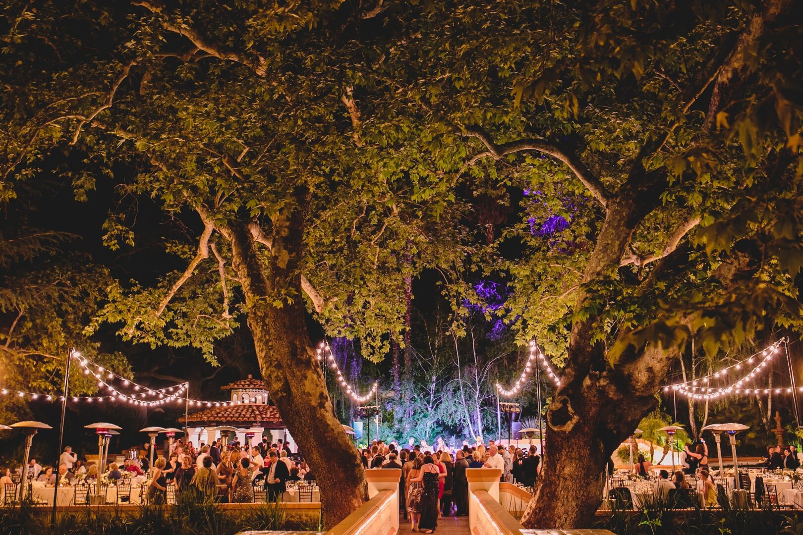 An outdoor evening event with string lights hanging between large trees, tables set up, and many people gathered, creating a festive, warm atmosphere.